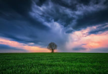 The Perfect Storm In Estate Planning